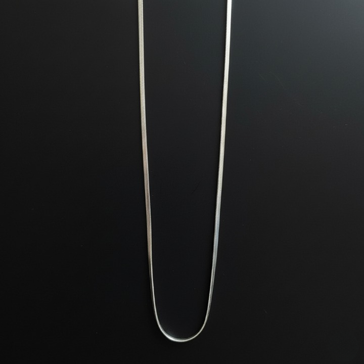 Silver Snake Chain